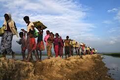 A Case Study: The Rohingya’s Illegal Migration to India A Case Study: The Rohingya’s Illegal Migration to India