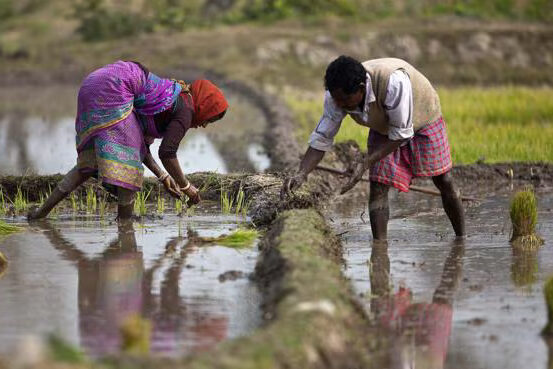 Madhya Pradesh Model for Agriculture Sector Madhya Pradesh Model for Agriculture Sector