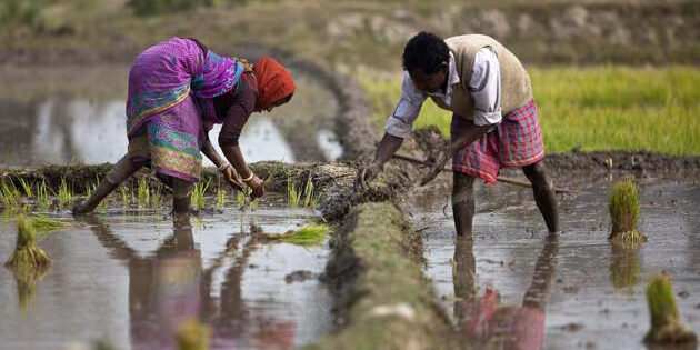Madhya Pradesh Model for Agriculture Sector