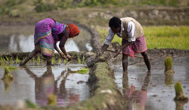 Madhya Pradesh Model for Agriculture Sector