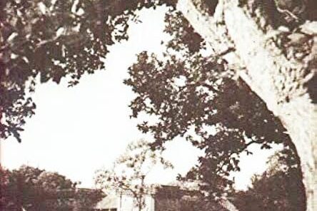 Swadeshi Samaj