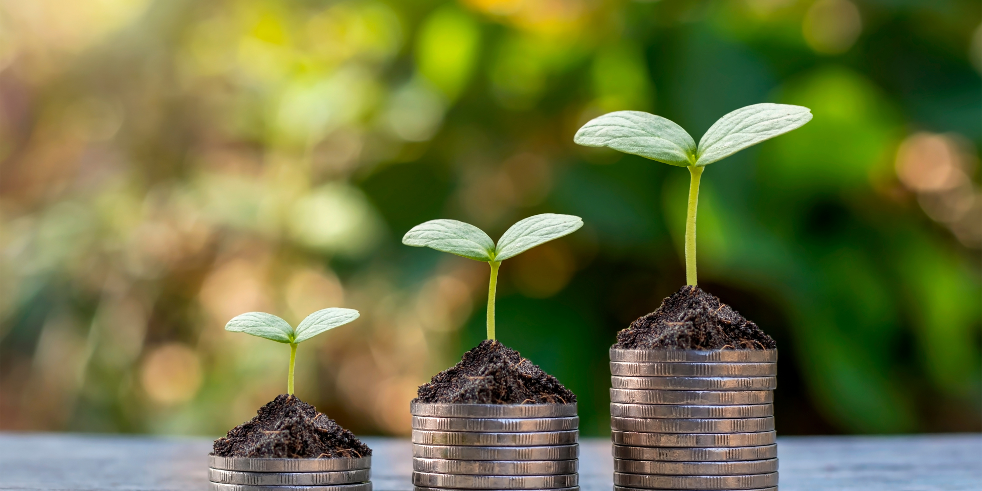 The Role of Multilateral Forums in Shaping India’s Economic Relations with special emphasis on India’s role in promoting global sustainability with G20- Vasudhaiva Kutumbakam in action