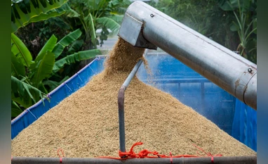 Popular Indian rice varieties such as ‘Swarna’, ‘Ratna’, ‘Miniket’, and ‘Sona Masoori’ are expected to see price gains in both West Bengal and southern India amid the anticipated demand surge, he said. (Image: Bloomberg) Popular Indian rice varieties such as 'Swarna', 'Ratna', 'Miniket', and 'Sona Masoori' are expected to see price gains in both West Bengal and southern India amid the anticipated demand surge, he said. (Image: Bloomberg)
