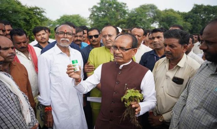 image_750x_68a86b30bb188