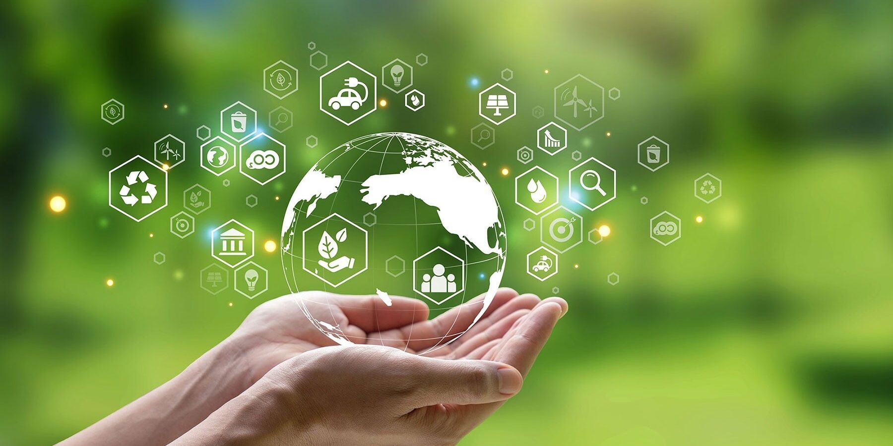 25-facts-about-sustainability-initiatives-1730631578