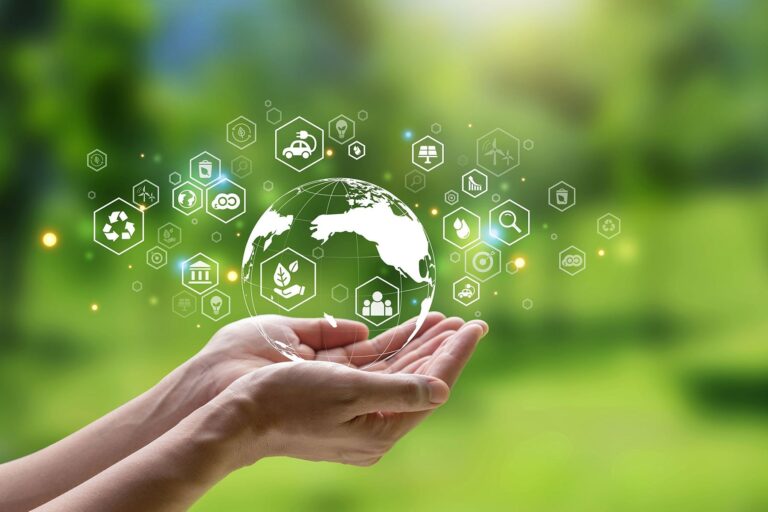 25-facts-about-sustainability-initiatives-1730631578